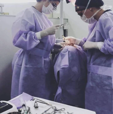 Imagem Diatheke Paramentação Odonto. -Diatheke - Implante- 40g -LILAS                                            